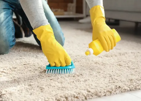 Affordable Carpet Cleaning