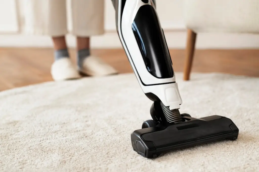 after carpet cleaning