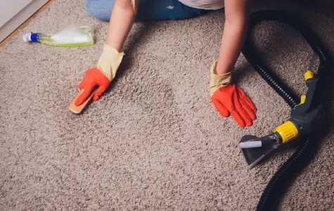Residential Carpet Cleaning